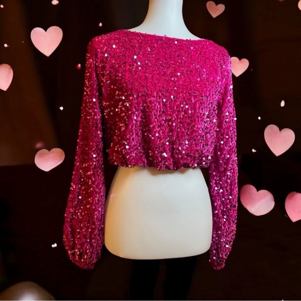 Evolutionary Hot Pink Velour Cropped Top with Sequins